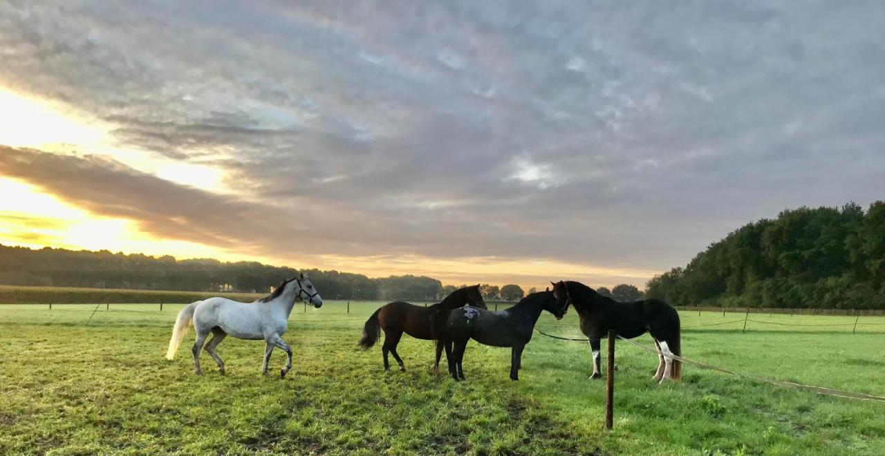 'T Heidepaleis Bed and Breakfast Garderen Exteriör bild