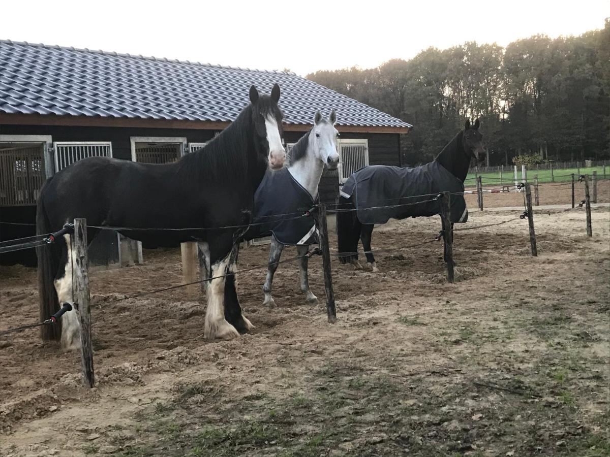 'T Heidepaleis Bed and Breakfast Garderen Exteriör bild