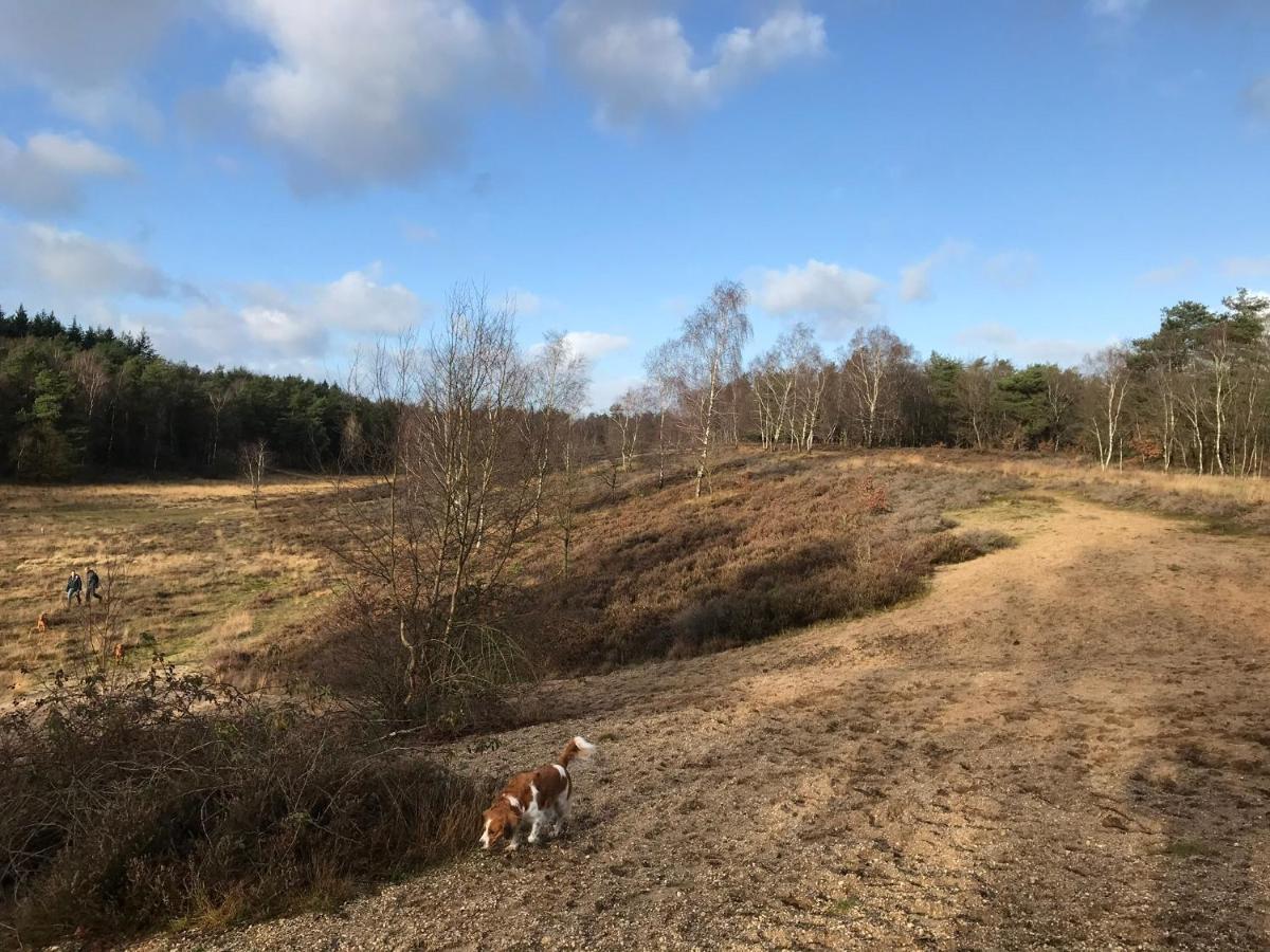 'T Heidepaleis Bed and Breakfast Garderen Exteriör bild