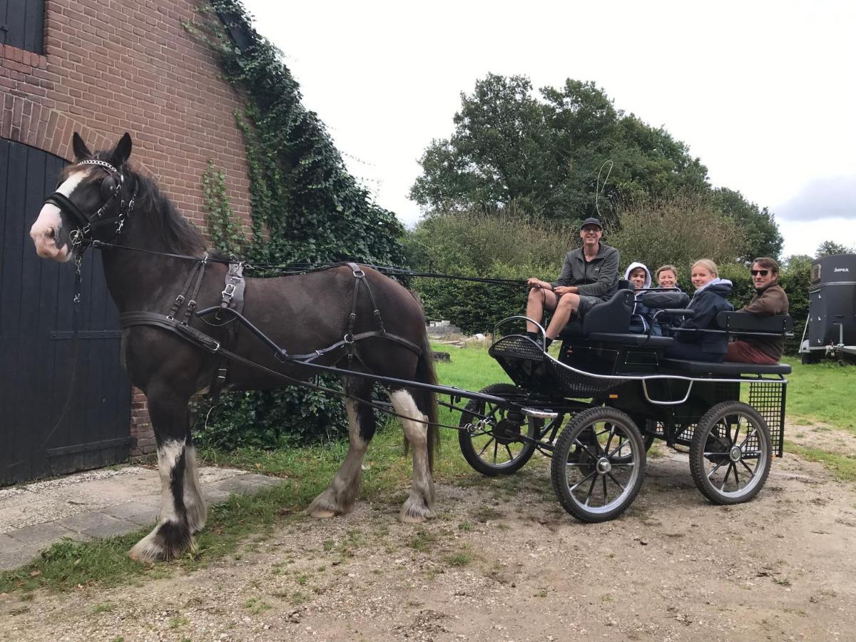 'T Heidepaleis Bed and Breakfast Garderen Exteriör bild
